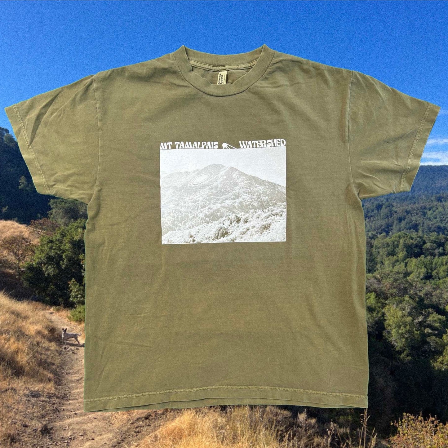 Mt Tamalpais Faded Army